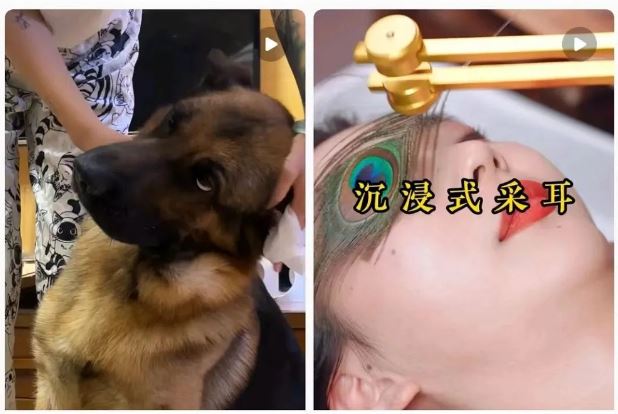 耳朵里長“腳氣”！竟然是因?yàn)檫@個(gè)很多人都愛的活動(dòng)……