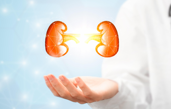 我國學者揭示慢性腎臟病篩查“中國方案”