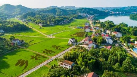 鄉(xiāng)村旅游熱持續(xù)升溫 一季度全國接待總?cè)舜纬?億