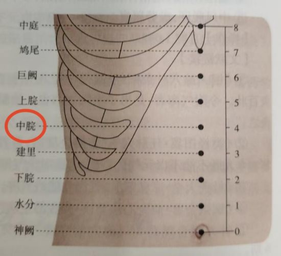 圖中標(biāo)紅中脘穴。（受訪者供圖）