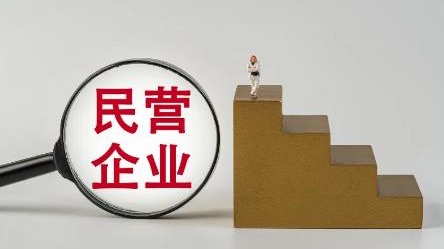 拔節(jié)生長(zhǎng)見未來(lái)——民營(yíng)企業(yè)加快技術(shù)突破和轉(zhuǎn)型升級(jí)