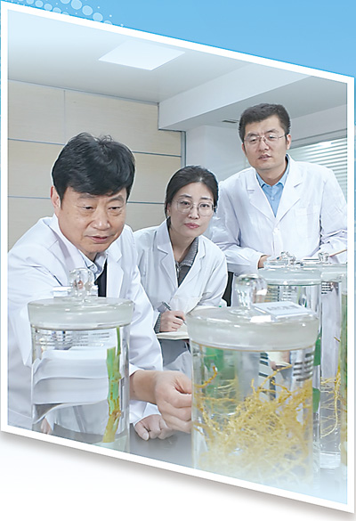 科研院所聯(lián)合企業(yè)研發(fā)農(nóng)業(yè)領(lǐng)域重大科技成果  一粒新型復(fù)合肥的田間突圍