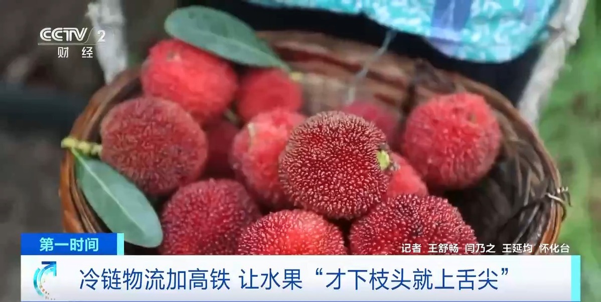 半天送達(dá)周邊城市 “冷鏈物流+高鐵”讓水果“才下枝頭就上舌尖”
