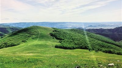 “十四五”我國退化草原年均縮減5000萬畝