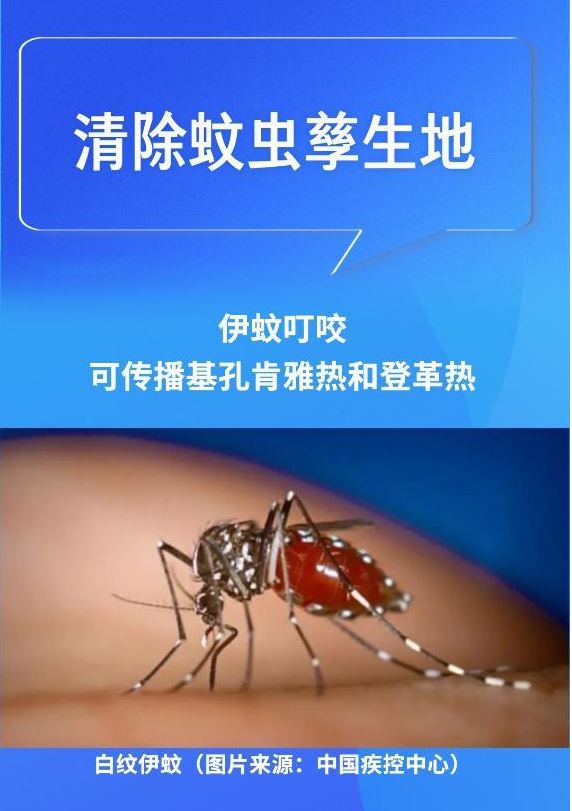 “小”蚊蟲帶來“大”麻煩？牢記這四點有效預(yù)防