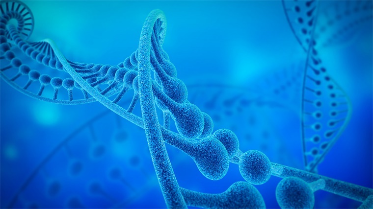 我國將以重大工程提升生物多樣性保護(hù)實效