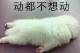 大考落幕，孩子從“緊繃弦”切換到“考后癱”該咋辦？