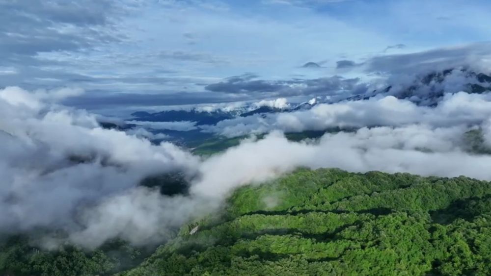 暑期經(jīng)濟多元業(yè)態(tài)觀察：文旅融合激活消費新引擎