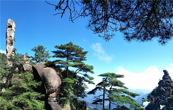 重磅！三清山兩大世界之最獲世界權(quán)威認(rèn)證！