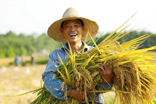 學(xué)什么專業(yè)有“錢景”？?jī)蓵?huì)都說(shuō)清楚了