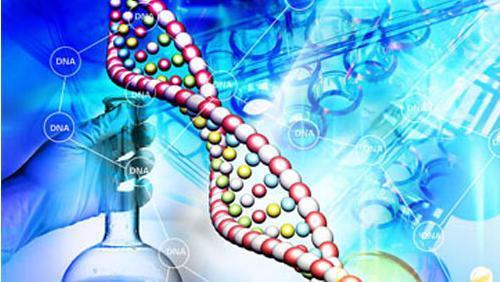 加拿大發(fā)現新的生物標志物有助于更有效治療癌癥