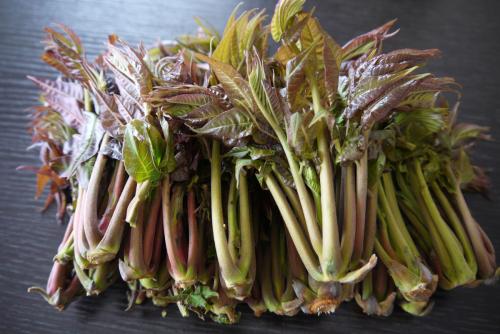 吃了香椿會(huì)致癌？建議每餐食用30至50克